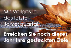 Newsletter Vertrieb und Verkauf von Verkaufstrainer Thomas Pelzl - Thema Neukundenakquise und Aufträge, Verkaufsabschluss, Jahresendbesuche Vertrieb