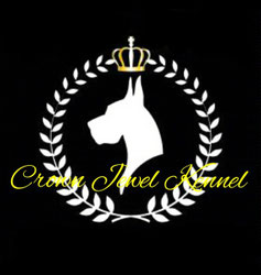 グレートデンブリーダーCROWN JEWEL KENNEL