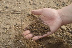 Eine Hand mit erde für den Garten