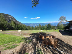 Blick auf die Rinder Alm, im Hintergrund sieht man die Dolomiten