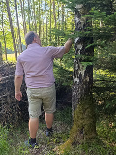 -Waldtrachtanalyse Juni 2026-
