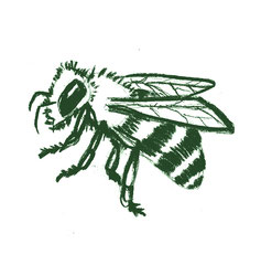 l'abeille en dessin