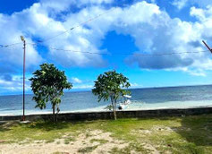 tropischer Strand Philippinen mit 2 Palmen