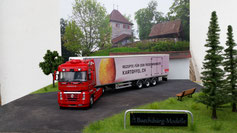 RENAULT MAGNUM 500 Traveco Steffenris
