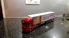 RENAULT MAGNUM 500 Traveco Steffenris