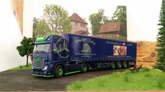 Mercedes-Benz Actros MP4 PDM Truckerland