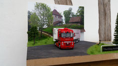 RENAULT MAGNUM 500 Traveco Steffenris