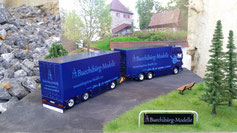 DAF XF Euro 6 PDM Buechibärg-Modelle