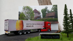 RENAULT MAGNUM 500 Traveco Steffenris