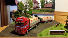 SCANIA R490 Sidler Cham
