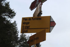 Auf dem Wanderweg zeigt der Wegweiser die Richtung – Naturerlebnis und spannende Aktivitäten für Schulklassen und Jugendgruppen