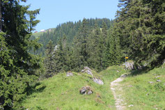 Erlebnispädagogische Wanderung im Bergwald – Teilnehmende erleben Natur, Abenteuer und Outdoor-Aktivitäten für Gruppen