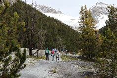Unterwegs im Nationalpark - Kinder lernen im Ferienlager die Wichtigkeit von Lebensräumen kennen