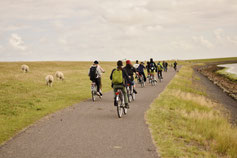 Fahrradtour an Land - bei diesem Ferienlager sind auch coole Aktivitäten an Land geplant