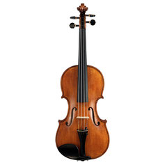 Violine Rumänien