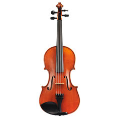 Violine Student Antik