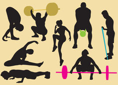 PATINES, PATINETES Y MONOPATINES