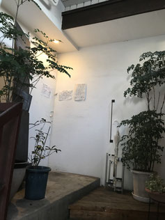 別府市|大分市|カフェ|お散歩代行|ペットホテル