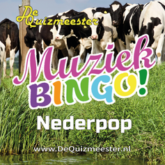 muziekbingo nederpop nederlands nederlandse bodem hollandse hits muziek bingo