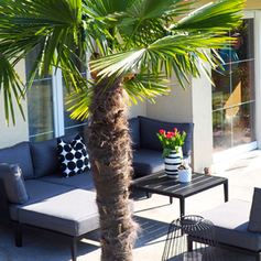 EINRICHTUNGSBERATUNG, Interior Service, Sofa, Garten, Wohnen, Möbel, Outdoor Living