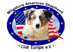 Logo Miniatur American Shepherd Club Europe e.V. MASCE