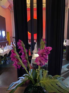 Die Alsterjungs im Pane e Tulipani