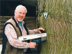 Einsetz von eingehenden Untersuchungsmethoden Resistographie und Schalltomographie