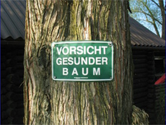 Fachliche Baumansprache zur Verkehrssicherheit