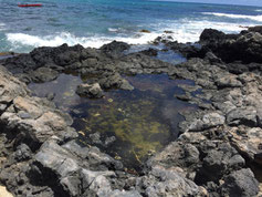 ハワイ オアフ島 パワースポット マカプウヒーリングプール 岩場に溜まった海水による癒し