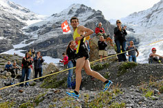 Jungfrau Marathon 2013