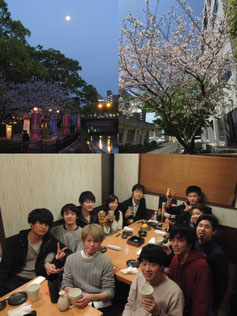 (左上)甲突川沿い、(右上)大学内の桜、(下)二次会