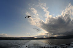 Fähre von Brodick (Isle of Arran) nach Androssan (Festland)