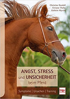 Angst Stress Unsicherheit beim Pferd