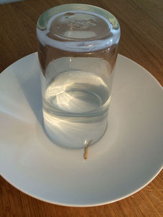 Glas, Experiment, Wasser, Kinder, Kleine Forscher