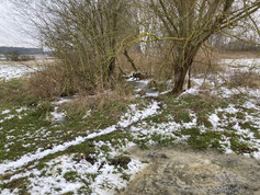 Foto: Michael Wetzel