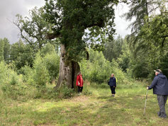Foto: Michael Wetzel