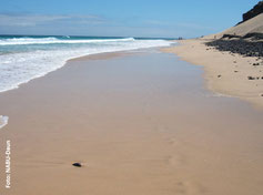 Strand auf den Kanaren