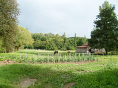 Le jardin potager du Gîte Le Rouch dans le Tarn- Midi-Pyrénées
