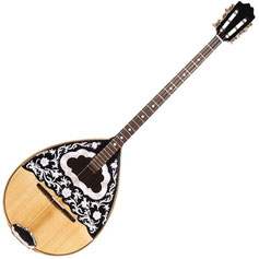 séquence les familles d'instruments cycle 3 bouzouki