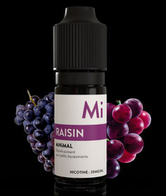 Minimal FUU - Grape - Sales de Nicotina