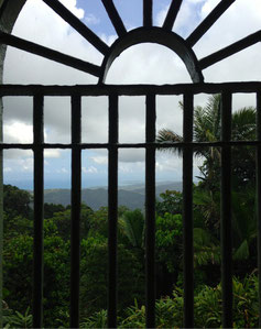 El Yunque Forest