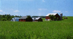 Original Lipper Farm Stölting in Hermann, Wisconsin.