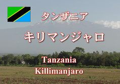 タンザニア キリマンジャロ キゴマ