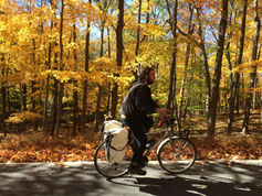 L'automne new yorkais