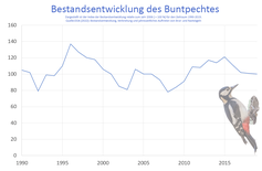 Bestandsentwicklung des Buntspechtes von 1990-2019 in Deutschland.