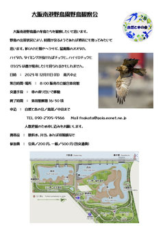 20231211　大阪南港野鳥園野鳥観察会