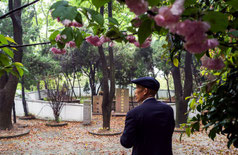 A visitor at the Zhou family's ancestral graves in Xiqliantou, eastern China.  Intrigue surrounds the family after a spate of arrests.  Sim Chi Yim for the New York Times