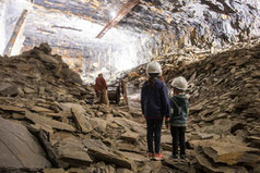 la mine bleue segre anjou bleu