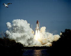 Start des Space Shuttles Endeavour. Es hat sich schon ein Stück vom Boden gehoben. Man sieht die Feuersäulen der Triebwerke und eine riesige weiße Rauchwolke. Im Vordergrund spiegelt sich das Licht auf einer Wasseroberfläche. 