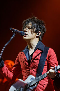 Nicolas Sirkis,  Indochine, DESS'User